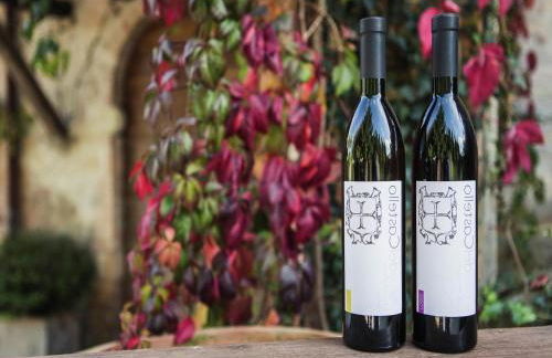 Farmhouse in Marsciano with vineyards olive groves - Foto 26