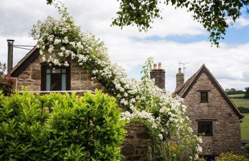 Get-Togethers with function room - Foto 10