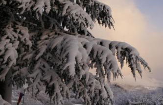 agriturismo La Giana - Foto 11