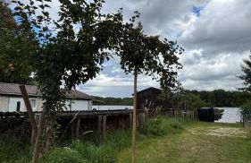 Cottage - Kleine alte Villa am See - Foto 31