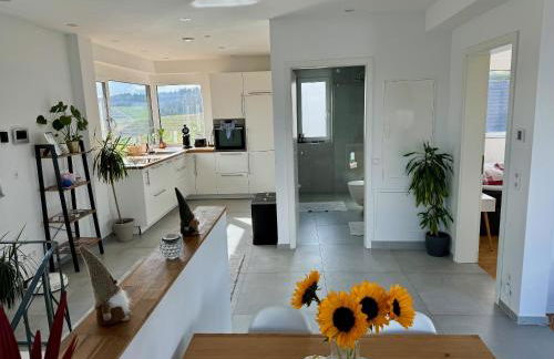 Penthouse mit Ausblick - Foto 3