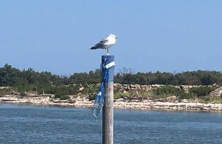 casa di Eva - Photo 17