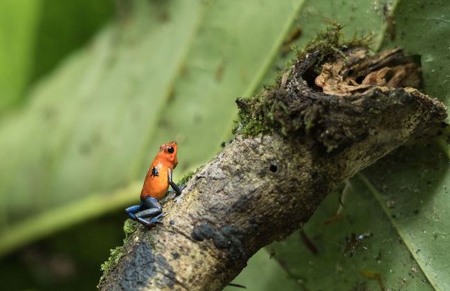 Cabañas del Rio - Foto 26