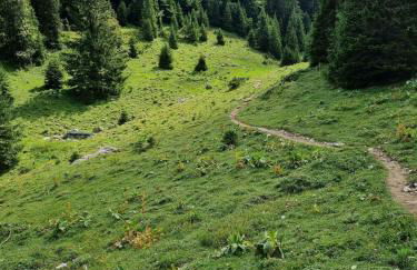 Appartement avec balcon au pied des pistes - Foto 8