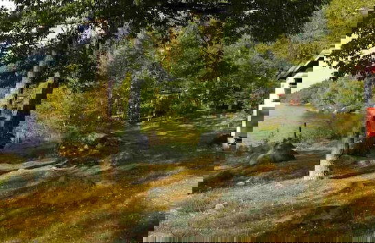 Långasjönäs Camping & Stugby - Photo 25