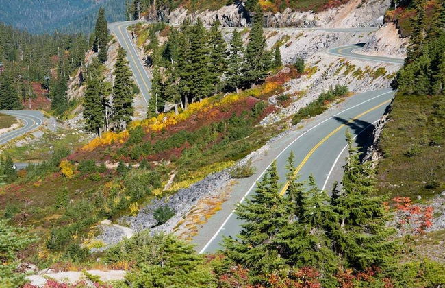 35SL - A/C - Pets Ok - Fireplace - Sleeps 6 - Foto 11