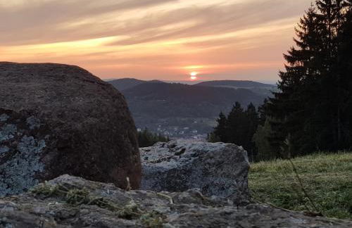 Ferienhaus Am Kirchberg - Foto 20