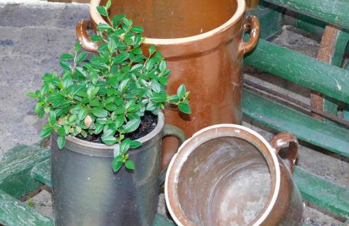 Ferienwohnungen Landleben - Foto 35