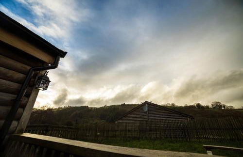 Owl Cabin - Photo 28