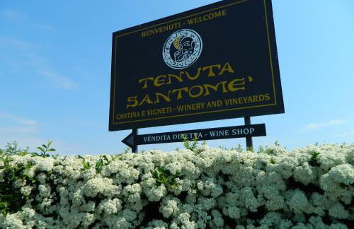 Tenuta Santomè - Foto 49