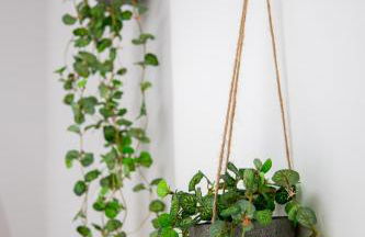 Vue Mer Panoramique, Clim, Balcon et Plages - Foto 34