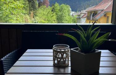 Stilvolle Fewo mit Dom-Blick & Balkon zentral in Sankt Blasien - Photo 13