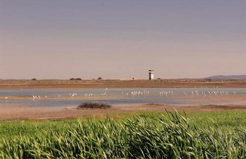 Flamingo View Suites & Villas - Photo 65