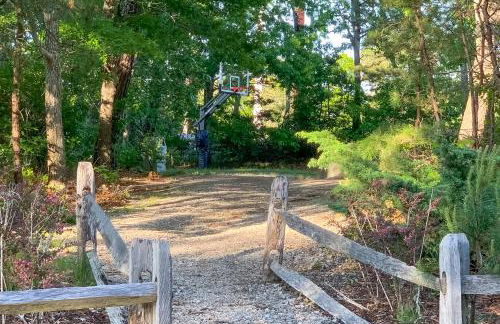 Ocean Mandevilla - Foto 8