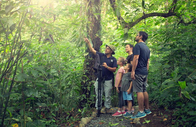 Avistamento de bichos-preguiça em La Fortuna - Foto 3