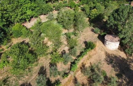 Quinta da Lapa do Gato - Foto 39