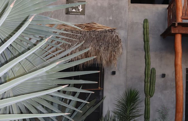 Suite Mexi Casa Mexibali Troncones - Foto 16