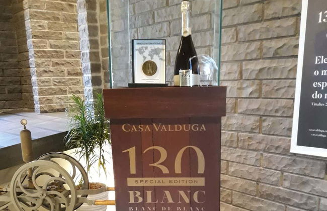 Tour delle cantine della Vale dos Vinhedos - Foto 2