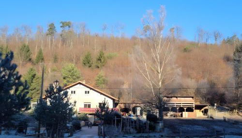 Gîte de la vallée, En Pleine Forêt - Foto 5