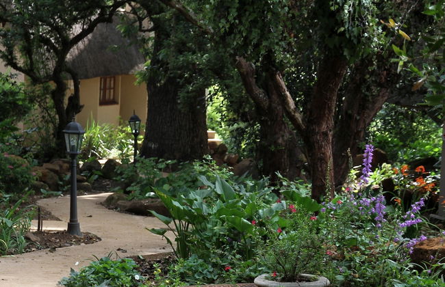 Granny Mouse Country House & Spa - Foto 46