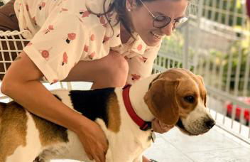 The Family Nest - Casetta con vista - Photo 14