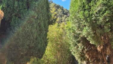 Maison de caractère au coeur de la Provence - Foto 3