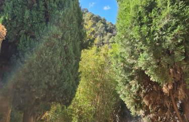 Maison de caractère au coeur de la Provence - Foto 3