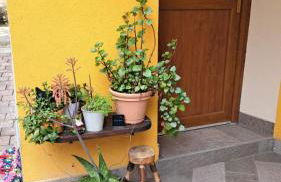 Ermele's Green House - Foto 50