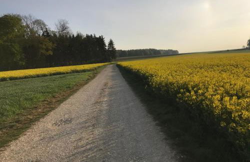 Klosterberghaus - Kontaktloser Check-in - Foto 45