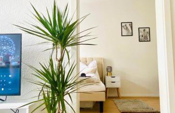 Modern eingerichtetes Apartment mit Balkon - Foto 11