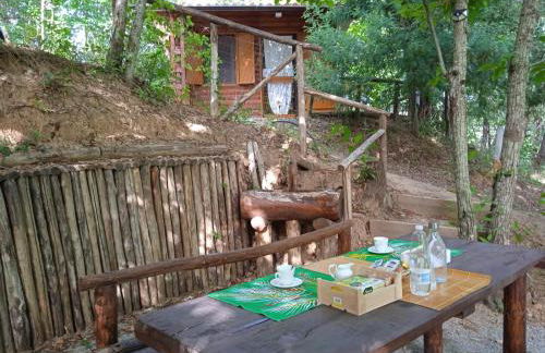 CHALET NEL BOSCO - TENUTA BOCCHINERI - Photo 21