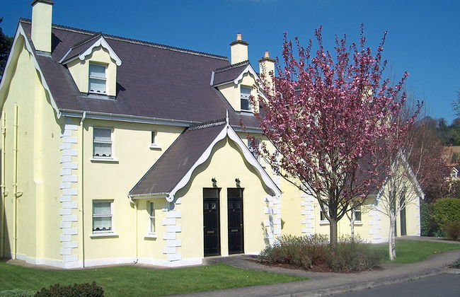 3 bedroom House in Arklow with garden - Photo 1