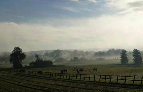FerienwohnungenAufDemDorf nahe LEGOLAND - Foto 27
