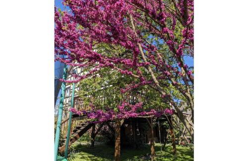 Holiday apartment in Salem with swimming pool - Foto 8