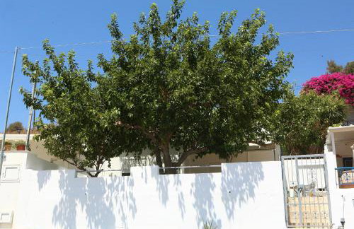 Lavi view apartment - Photo 31