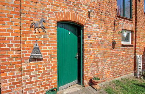 Ferienhof Dobbin - Foto 10