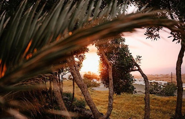 Bonora Country Houses - Alitana - Foto 24