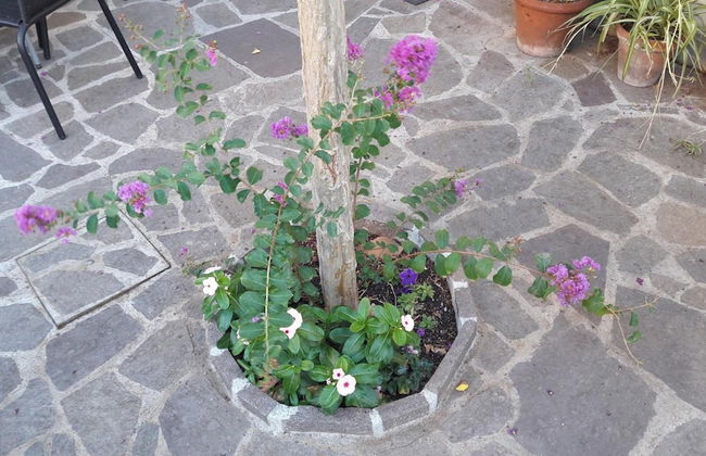 Florence Stadium B&B - Foto 42