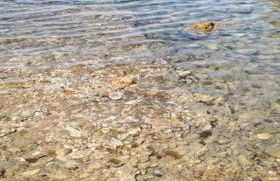 Magnolia casa di campagna Costa dei Trabocchi - Foto 43