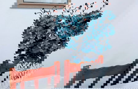 Guarujá Sol e Praia - Photo 22