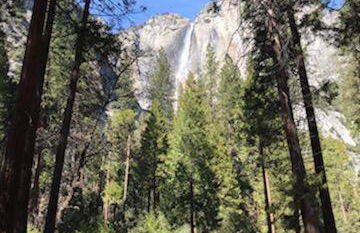 Breckenridge Chalet near Yosemite. Dog friendly! - Foto 16