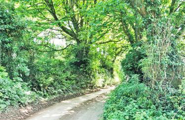 Cosy Beachside Cottage 100m from Challaborough Beach - Foto 23