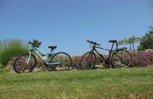 Agriturismo Affittacamere Barbarossa - Foto 21