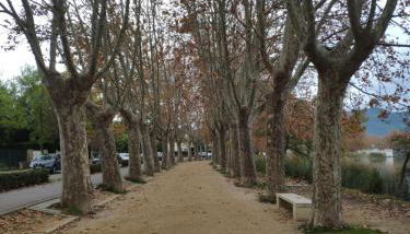 Plaça Major 17 2n 2a Apartament al centre de Banyoles - Foto 5