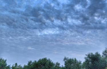 NEW 2023 Villa Tree of Life - Photo 67