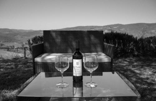 Tenuta il Poggetto - Foto 27