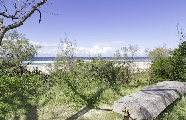 Clothiers Creek Farm - Photo 30