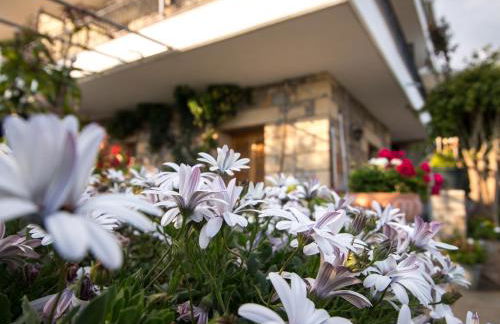 Paradeisos - Foto 40