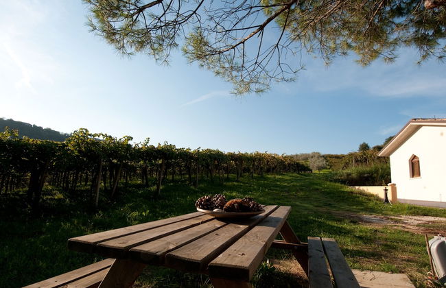 Agriturismo Casa dell'Orto - Foto 47