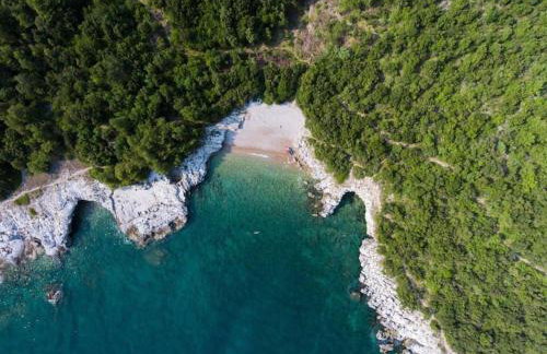 Sea apartment by beach Vine, olive oil tasting, kajaks, grill - Photo 44